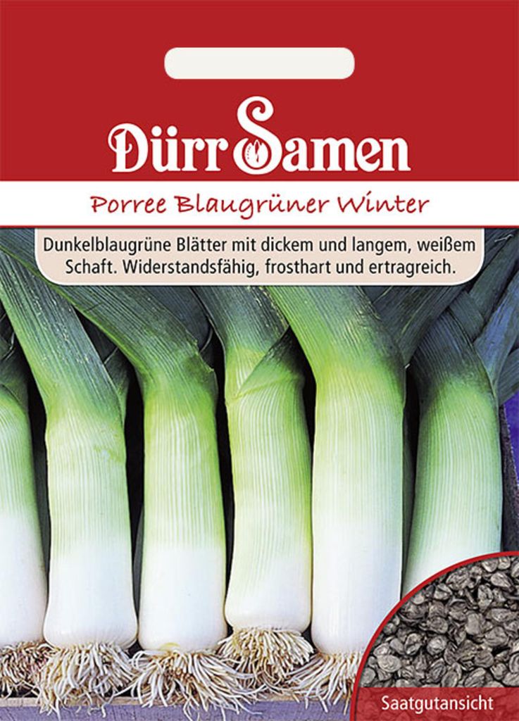 Dürr-Samen - Lauch Blaugrüner Winter - Saatgut - 0162 Produktbild 