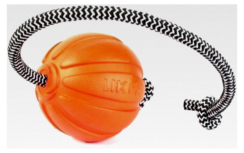 Hundeball Spielzeug, Cord