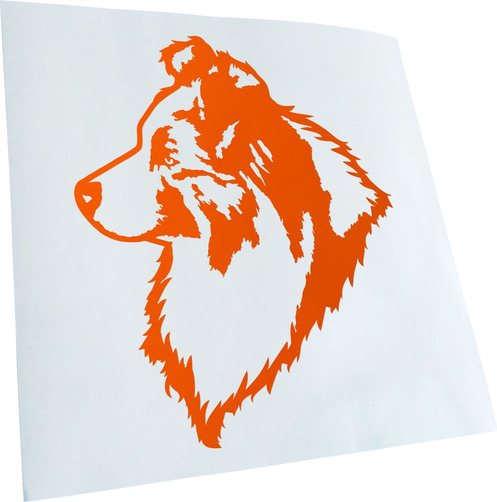 Kiwistar - Autoaufkleber - Australian Shepherd Blue Merle - Orange - 30x25cm - Aufkleber für Auto, Laptop, Fahrrad, LKW, Motorrad mehrfarbig JDM D...