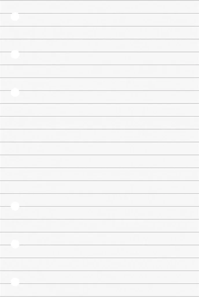 Feuillets Mobiles Lignés 8,8 x 15,2 cm pour Mini Classeurs et Agendas