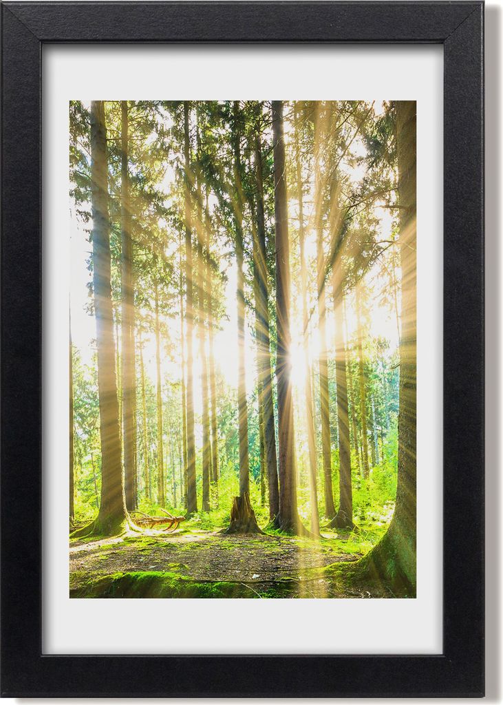 Bild 20x30 MDF-Rahmen, Wandkunst Sonne im Wald