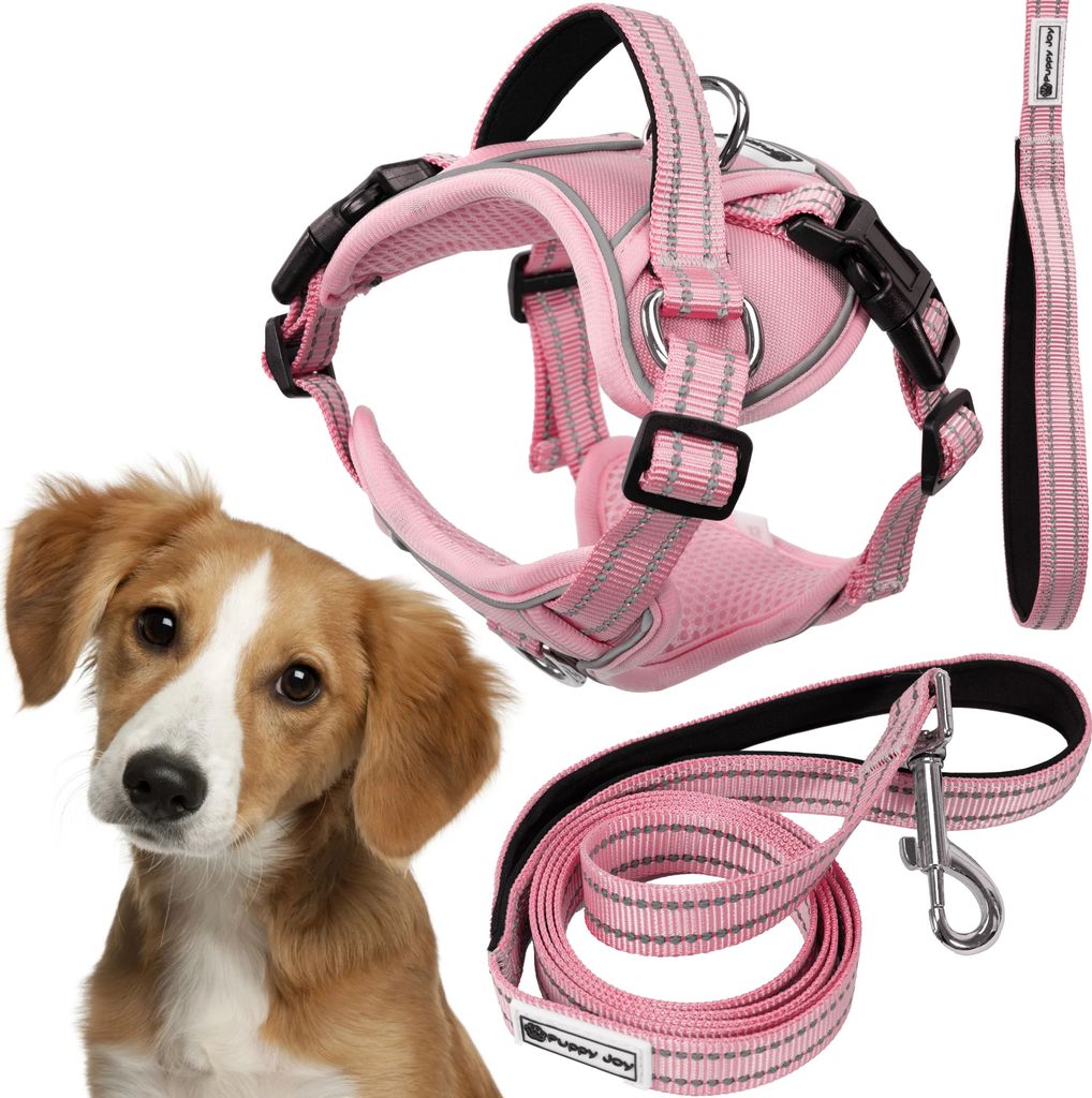 Laisse et Harnais Pour Chien Puppyjoy PJ-056 M Pink Image du produit 