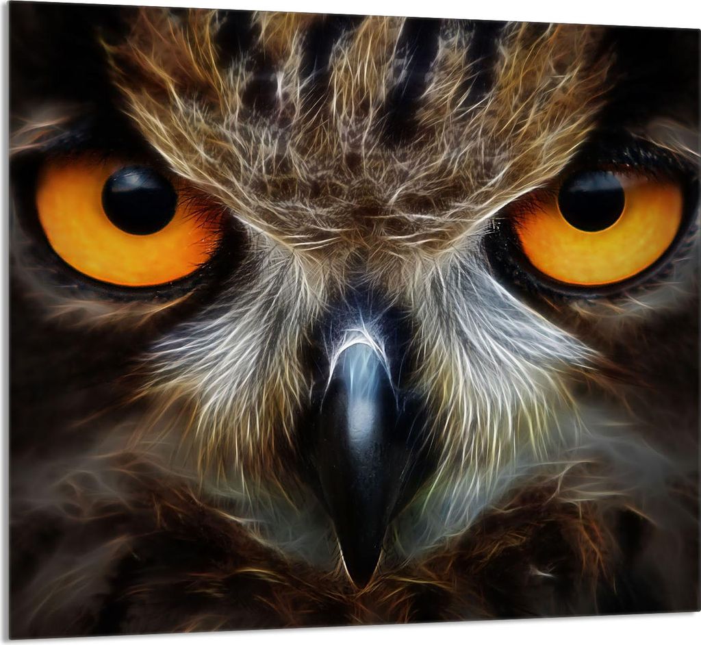 GLASPLATTE FÜR KÜCHE 65x60 Eule