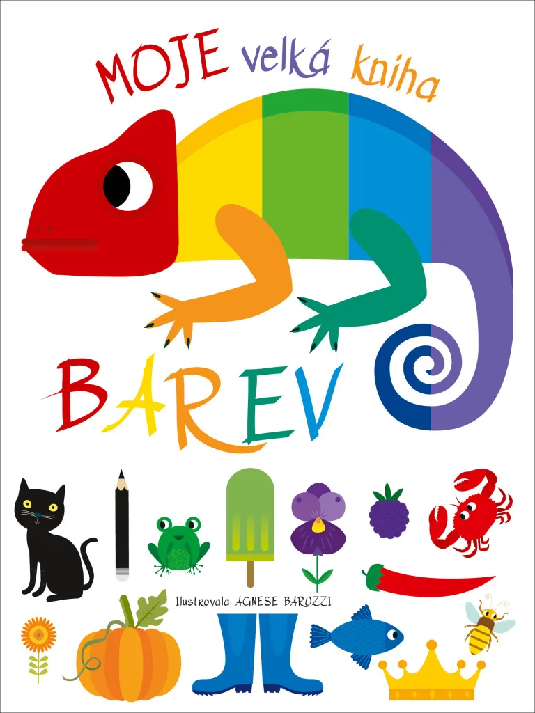 Imagier géant des couleurs avec illustrations graphiques et ludiques