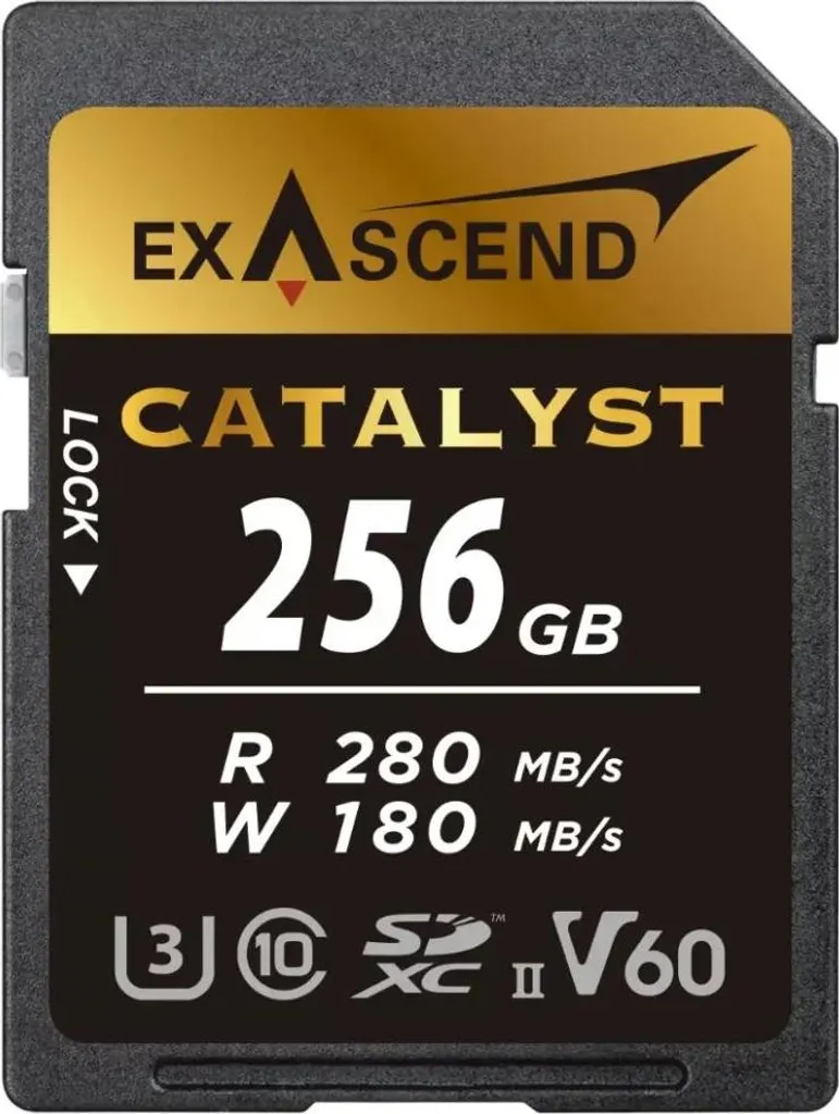 ExAscend Catalyst 256 Go Carte V60 UHS-II avec Vitesse de Flux Stable