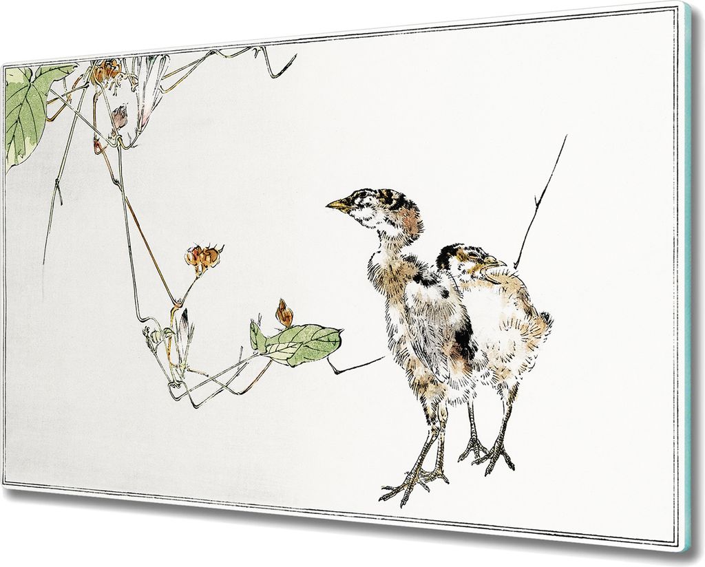 Coloray Hackbrett Küchenbrett Kochplattenabdeckung Schneidebrett Herdabdeckplatte 80x52 cm - Tiere Vögel Hühner