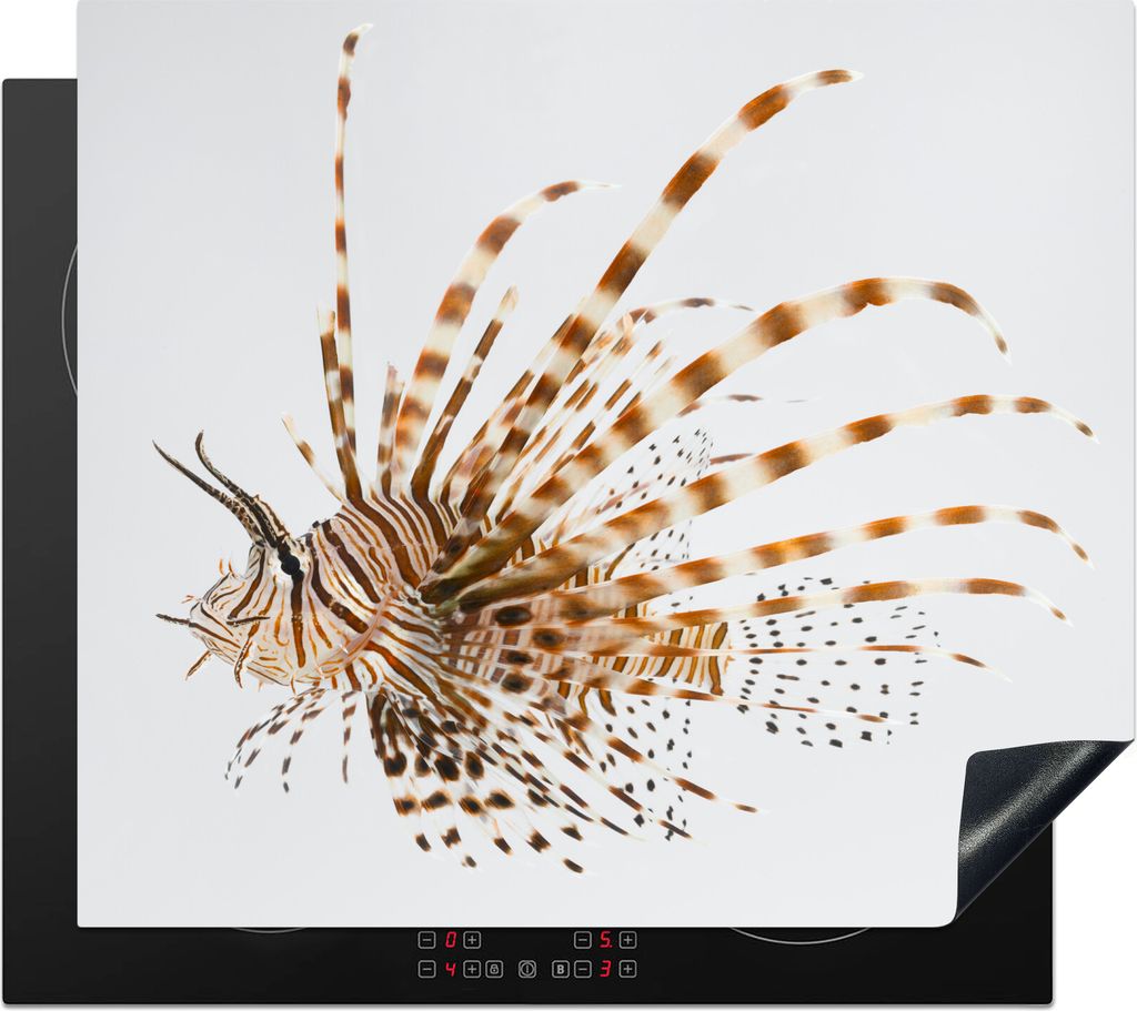 KitchenYeah Herdabdeckplatte Giftiger Rotfeuerfisch auf weißem Hintergrund , 59x52cm, Küche Deko, Glaskeramikfeld Herdabdeckung, Abdeckplatte f...