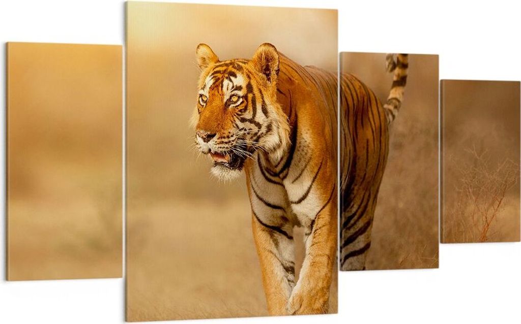 Bild auf Leinwand - Leinwandbild - tiger tier - 160x90cm - Wand Bild - Wanddeko - Wandbilder - Leinwanddruck - Bilder - Kunstdruck - Wanddekoration...