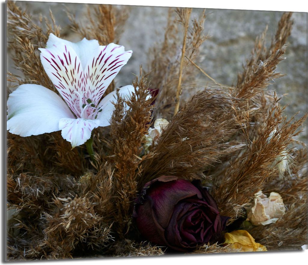 Glasschutzplatte für den Herd 60x52 Orchidea