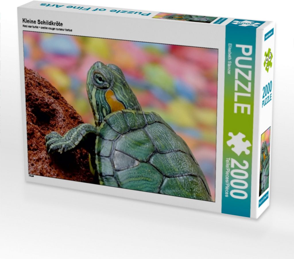 CALVENDO Puzzle Kleine Schildkröte | 2000 Teile Lege-Größe Produktbild 