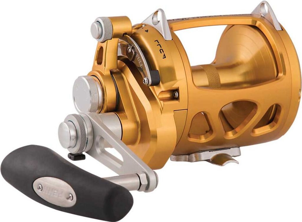 Penn 50VISW International Gold - Big Game Multirolle