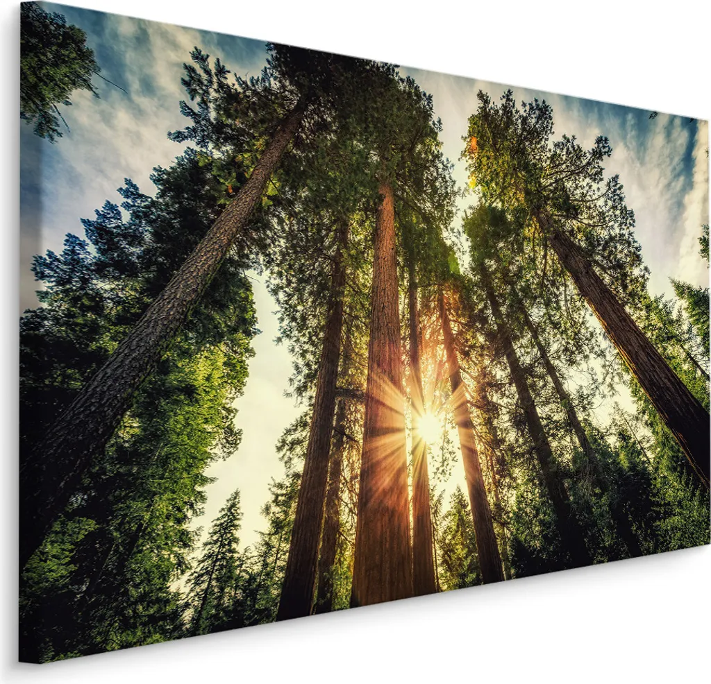 Decorazione Parete Foresta 90x60 cm - Tela Artistica Effetto Natura XXL