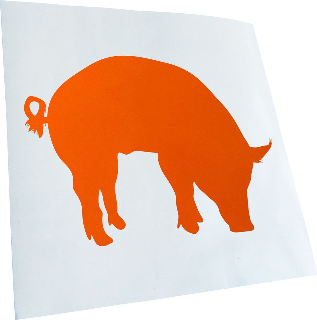 Kiwistar - Autoaufkleber - Schwein Pig Sau Heckscheibe - Aufkleber für Auto Kfz Fahrrad, LKW, Truck Mofa