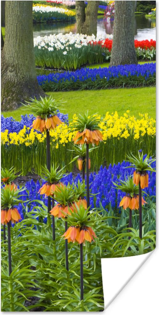 MuchoWow Poster Blumenpark Keukenhof in Südholland 60x120 cm - Wandschmuck