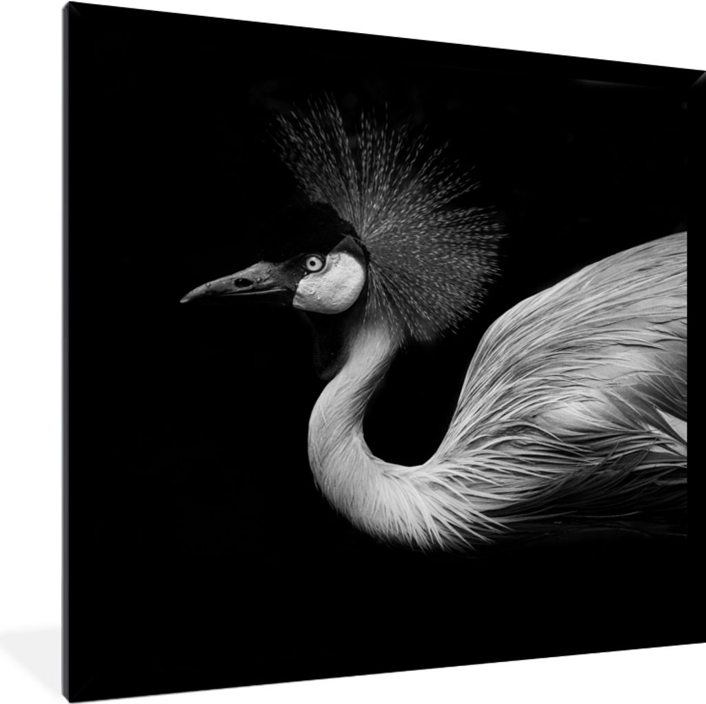 MuchoWow Gerahmtes Poster Kranich - Schwarz - Weiß - Vogel - Tiere 40x40 cm - Poster mit Schwarzem Bilderrahmen Wandposter Rahmen Foto Bilder - ...