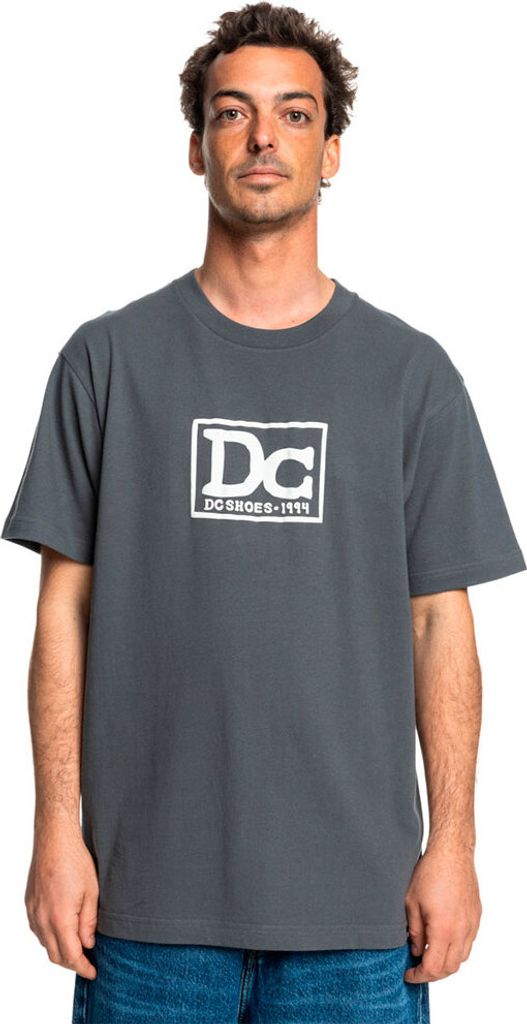 Dc Shoes Tribute Kurzarm-t-shirt Grau XL Herren Grau XL