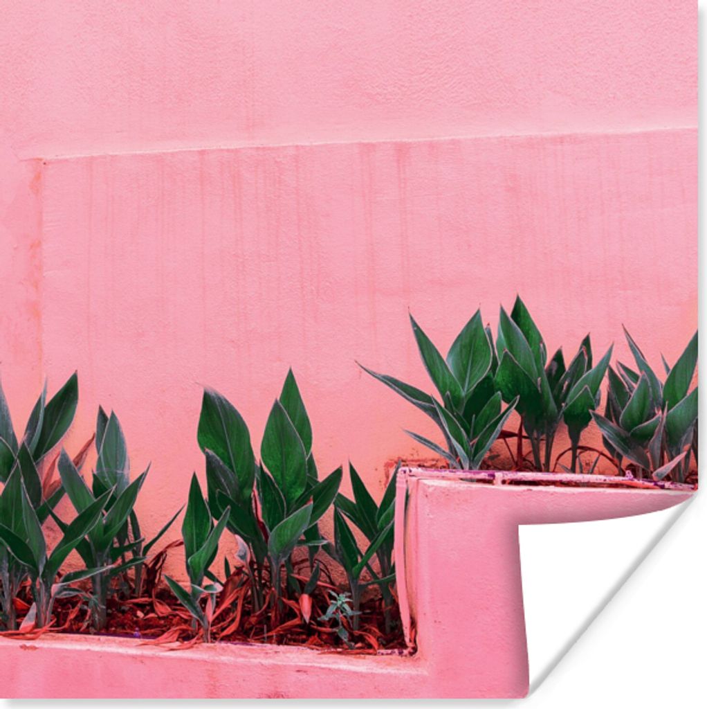 MuchoWow Poster Pflanzen - Sommer - Farbe 100x100 cm - Babyzimmer