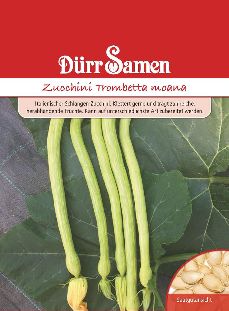 Artikelbild 1 von 'Zucchini Trombetta moana' aus der Kategorie Gemüsesamen