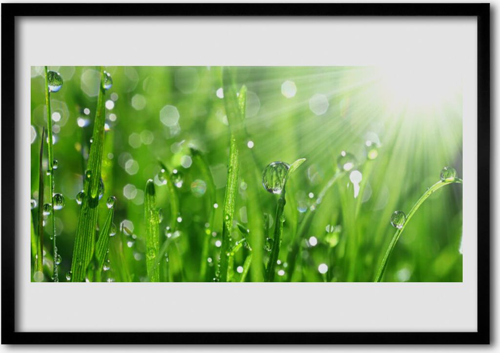 Bild 70x50 MDF-Rahmen Wandkunst Nature Grass Drops