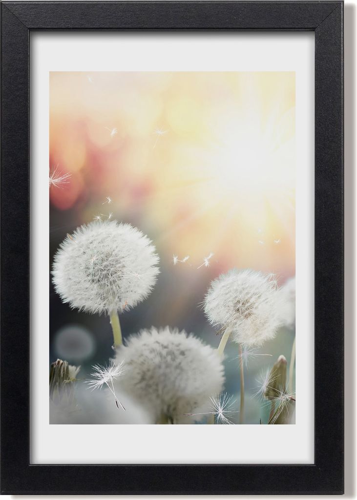 Bild 20x30 MDF-Rahmen, Wandkunst Löwenzahn zahnPOS=HEADCOMP