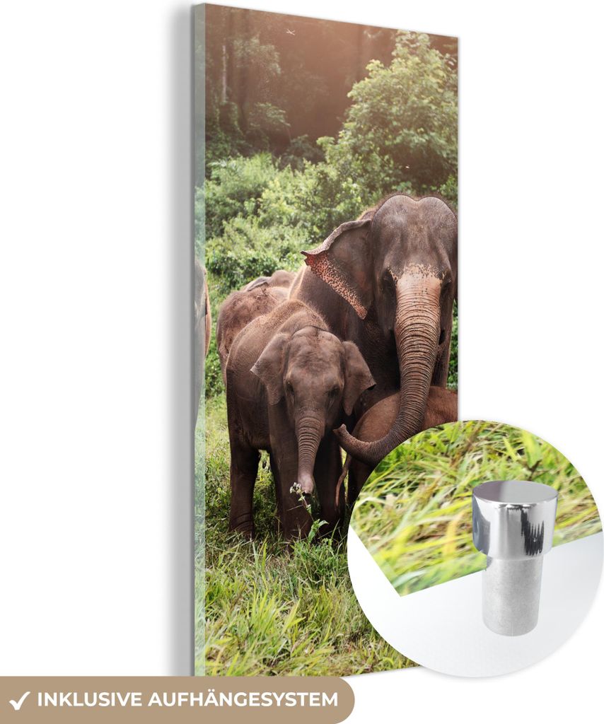 MuchoWow Glasbilder - Bilder auf Wandbild - Foto auf Glas Elefant - Tiere - Wald - Gras - Grün 60x120 cm Wanddekoration aus Glas - Acrylglasbild -...