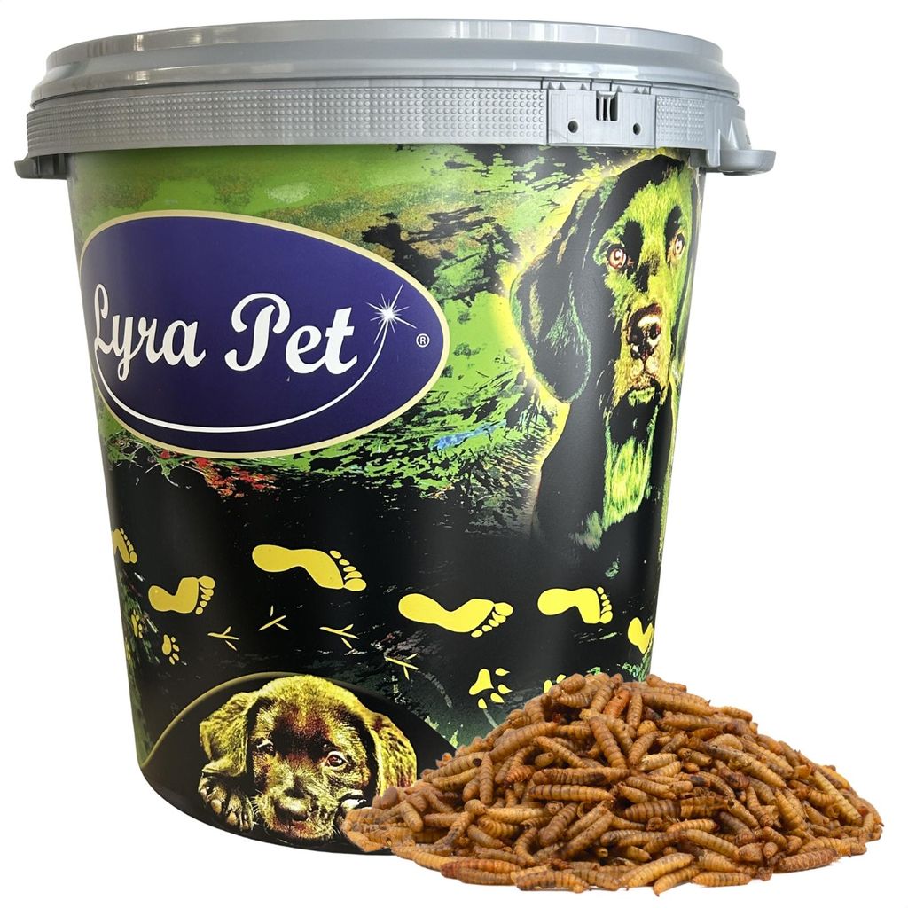 5 kg Lyra Pet® Soldatenfliegenlarven in 30 L Tonne Produktbild 