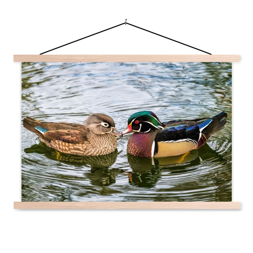 MuchoWow Textilposter Ente - Vögel - Wasser - Federn - Tiere 120x80 cm mit holzfarbenen Rahmen - Aufhängeset