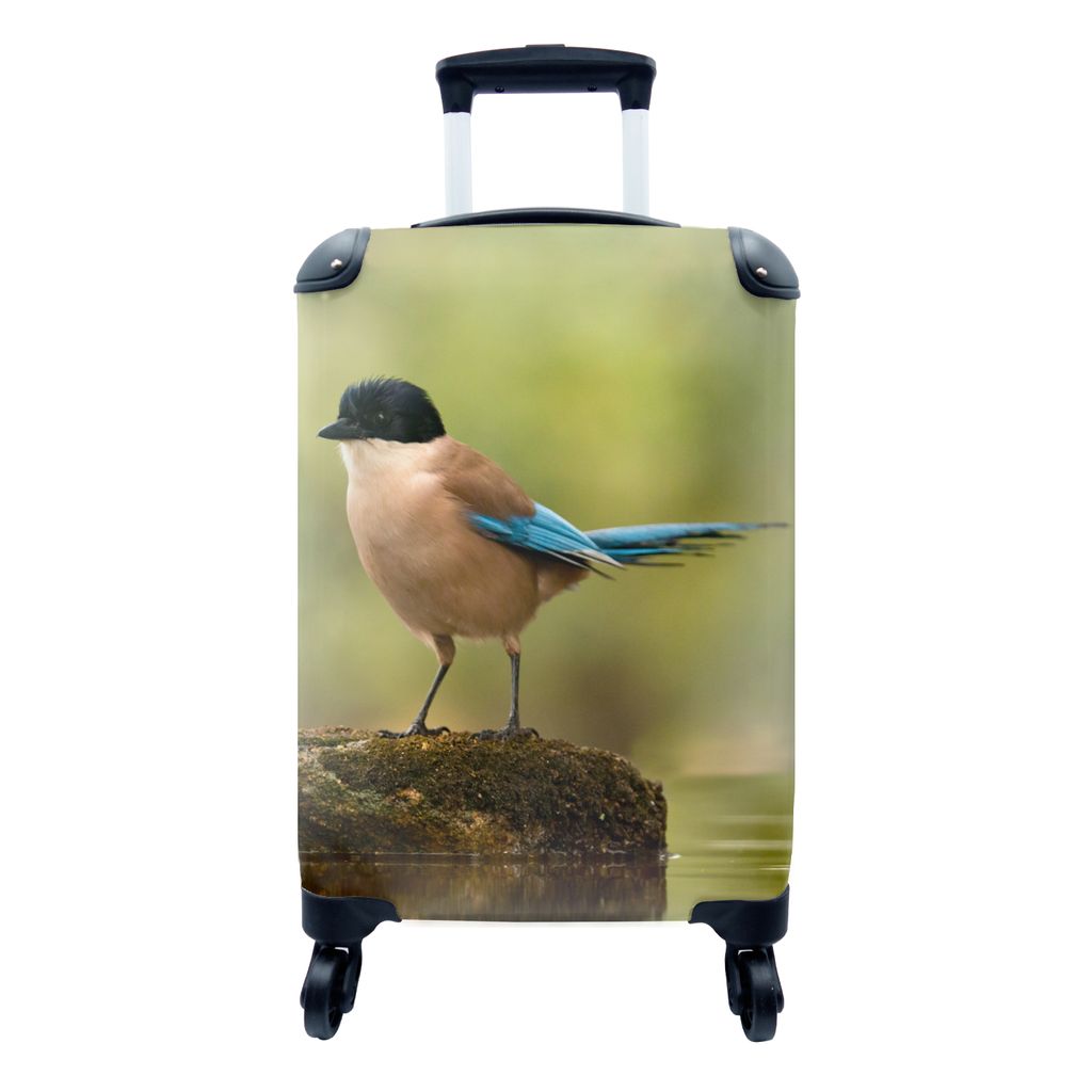 MuchoWow Koffer Handgepäck Trolley Rollkoffer Kleine Reisekoffer mit 4 Rollen - Elster - Vogel - Moos - Cabin Size < 55x40x23 cm & 55x40x20 cm -...