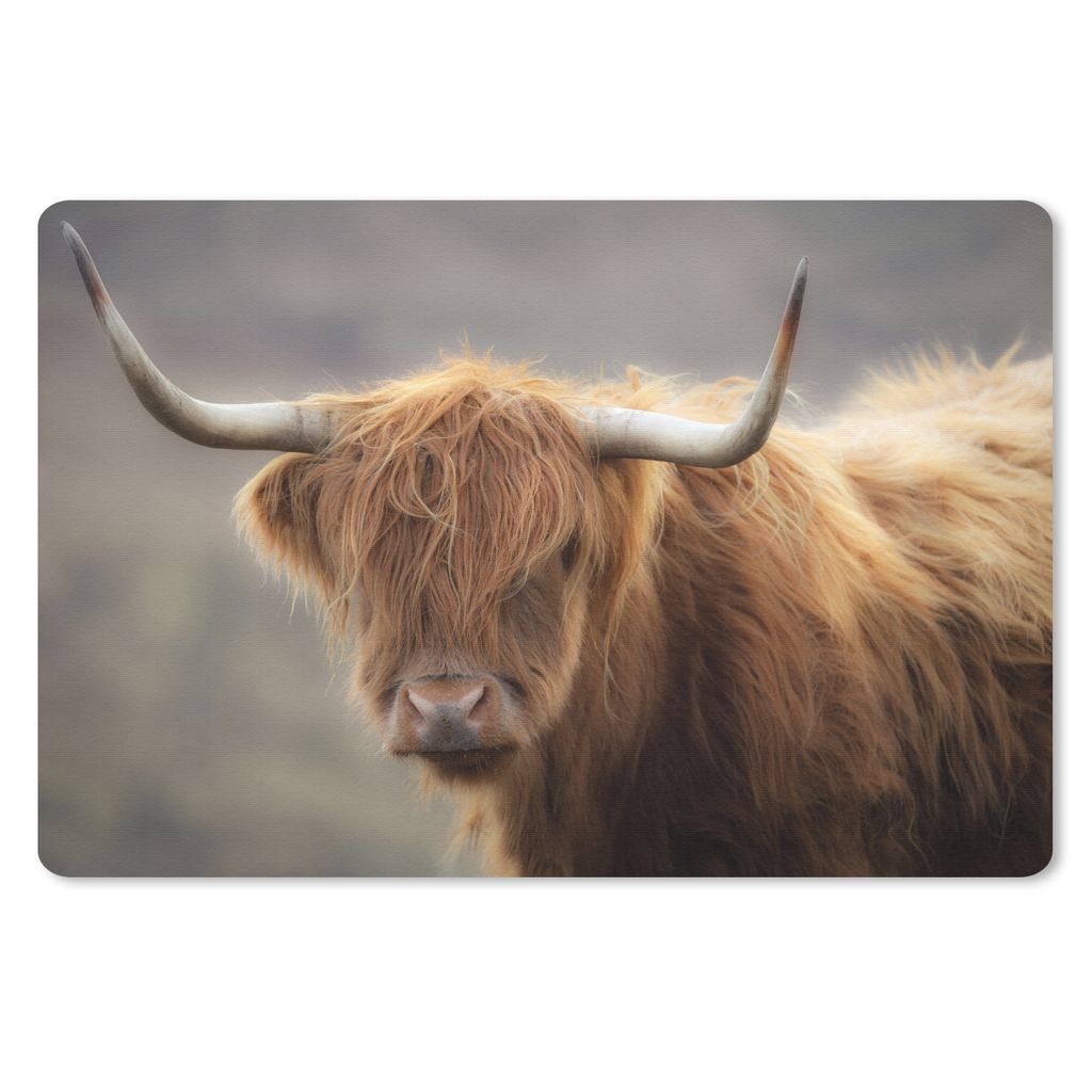 MuchoWow Mauspad Mousepad Schottischer Highlander - Licht - Porträt 27x18 cm - Mousepads - Maus Mat - Pad - Mausunterlage - Büroartikel - Desk ...