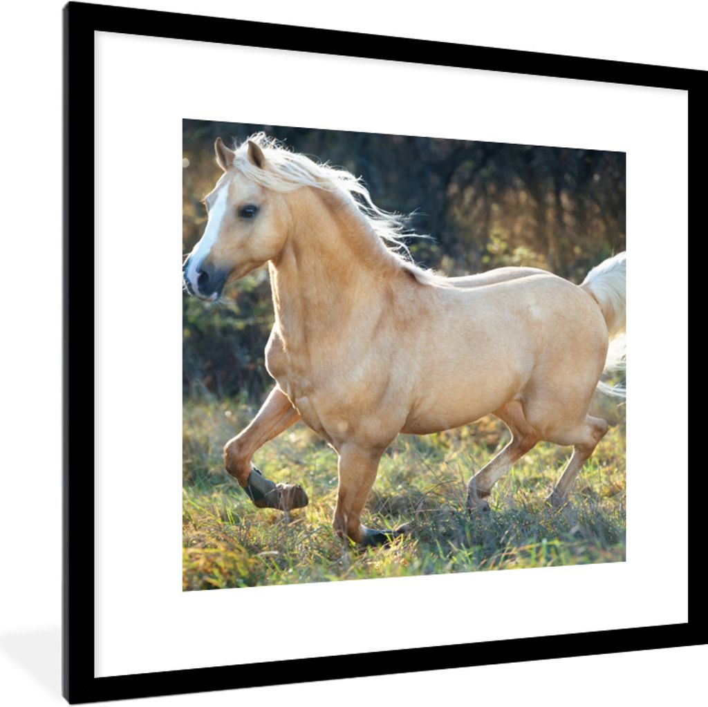 MuchoWow Gerahmtes Poster Pferd - Natur - Braun 40x40 cm - Poster mit Schwarzem Bilderrahmen Wandposter Rahmen Foto Bilder - Poster - Plakat im R...