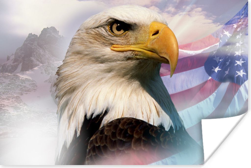 MuchoWow Poster Ein amerikanischer Weißkopfseeadler mit einer amerikanischen Flagge und Bergen 120x80 cm - Bilder