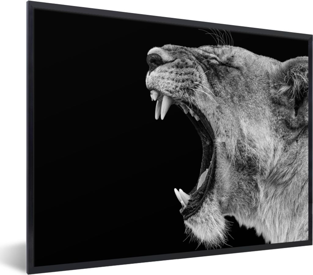 MuchoWow Gerahmtes Poster Tiere - Löwe - Schwarz - Weiß - Porträt 40x30 cm - Poster mit Schwarzem Bilderrahmen Wandposter Rahmen Foto Bilder -...
