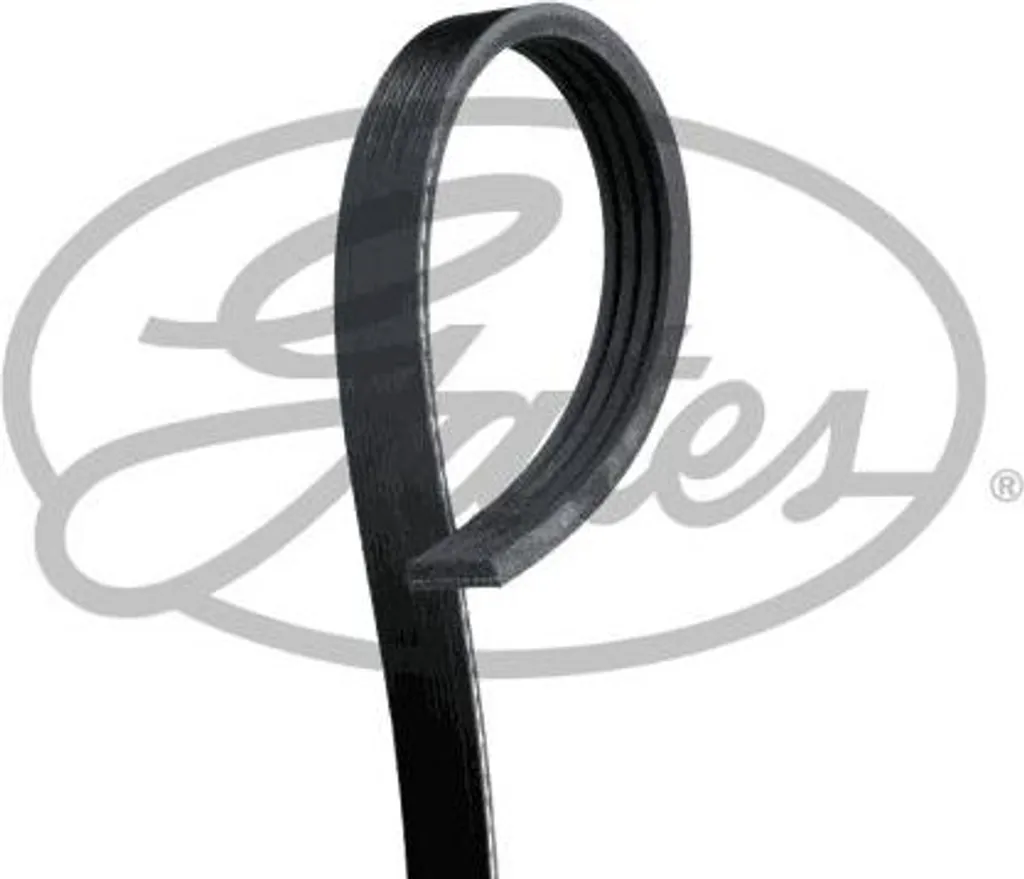 GATES 4PK1540 Cinghia trapezoidale dentata OE 8200830192 compatibile con Twingo, Thalia, Kangoo, Clio, Kubistar, Sandero, Logan