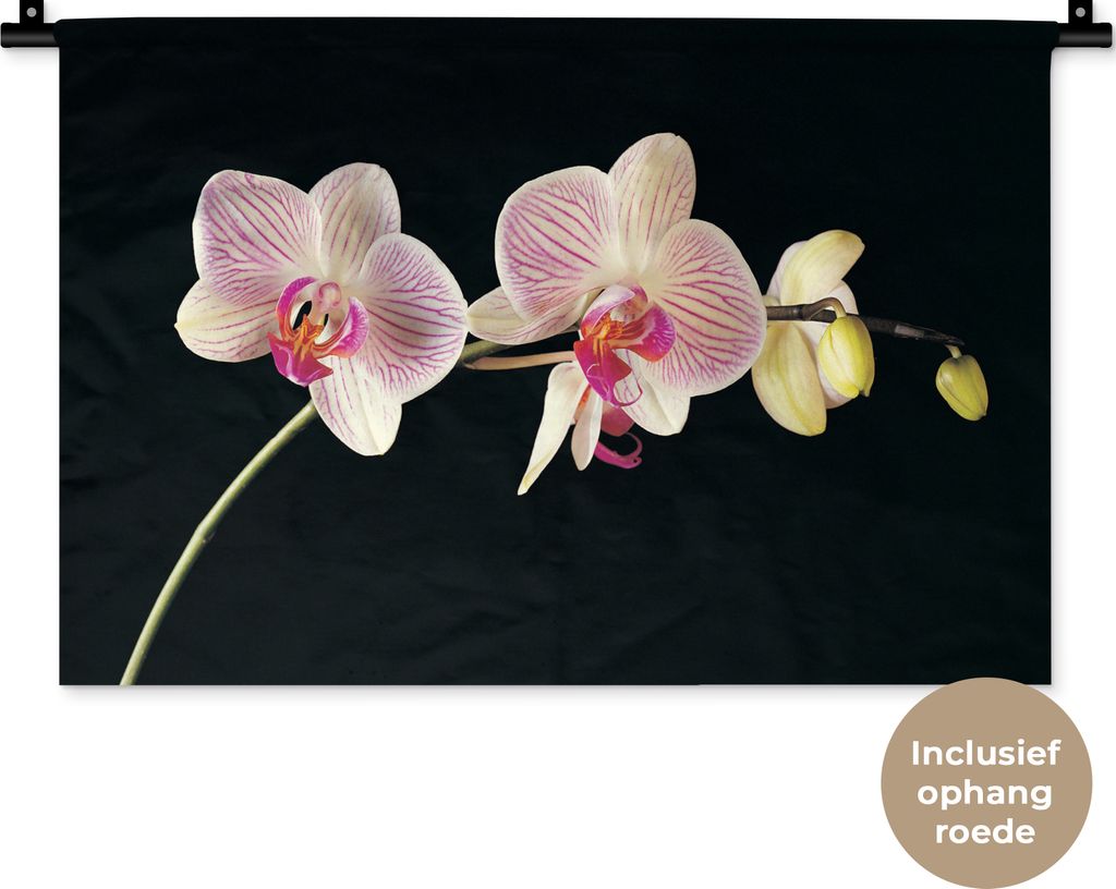 MuchoWow Wandteppich Wandbehang Orchidee - Blumen - Schwarz - Rosa - Knöpfe 60x40 cm Tapisserie Dekoration Wandtuch - Wanddekorationen