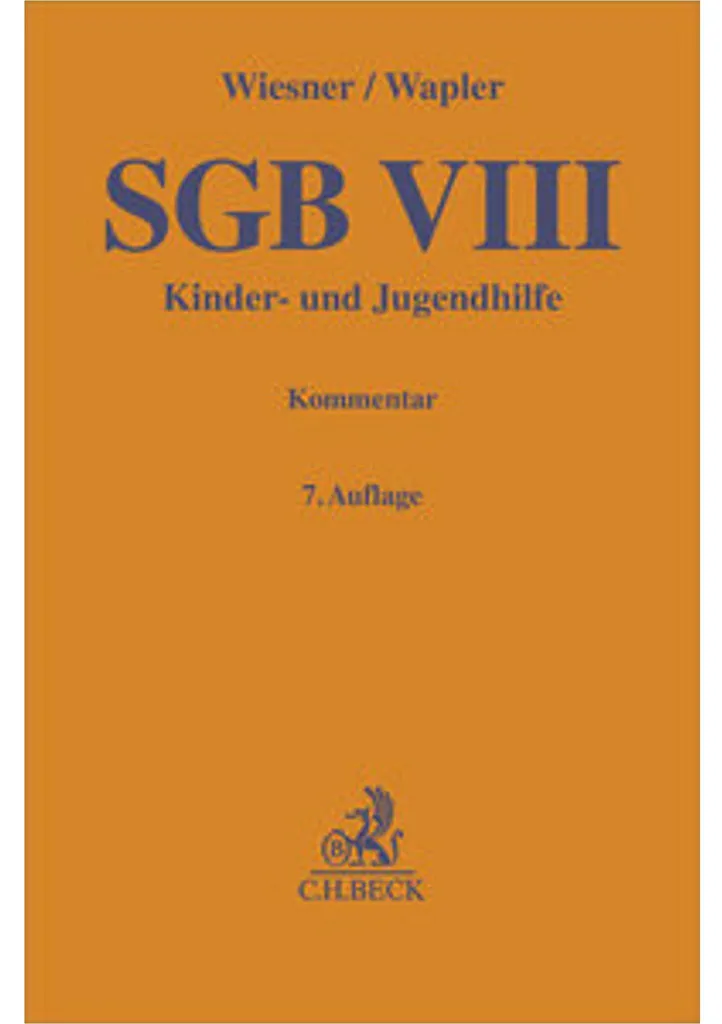 Livre Sgb Viii Droit Social des Enfants et de la Jeunesse Allemande