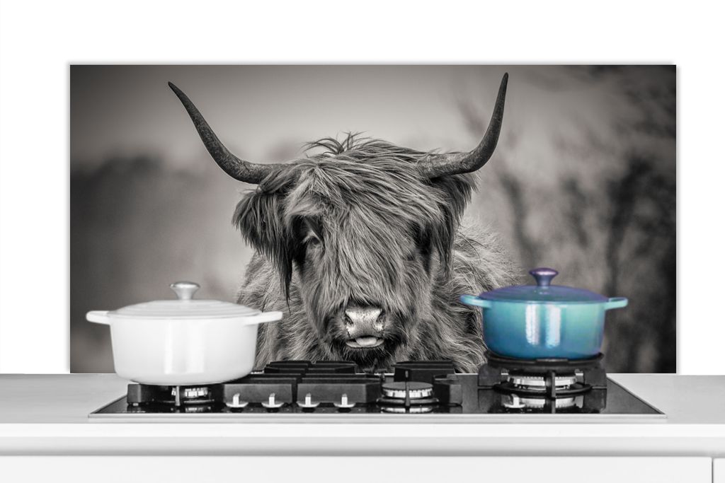 KitchenYeah Spritzschutz Küche - Küchenrückwand - Wandschutz für Herd und Spüle - Schottisches Hochlandrind - Porträt - Schwarz und Weiß 1...