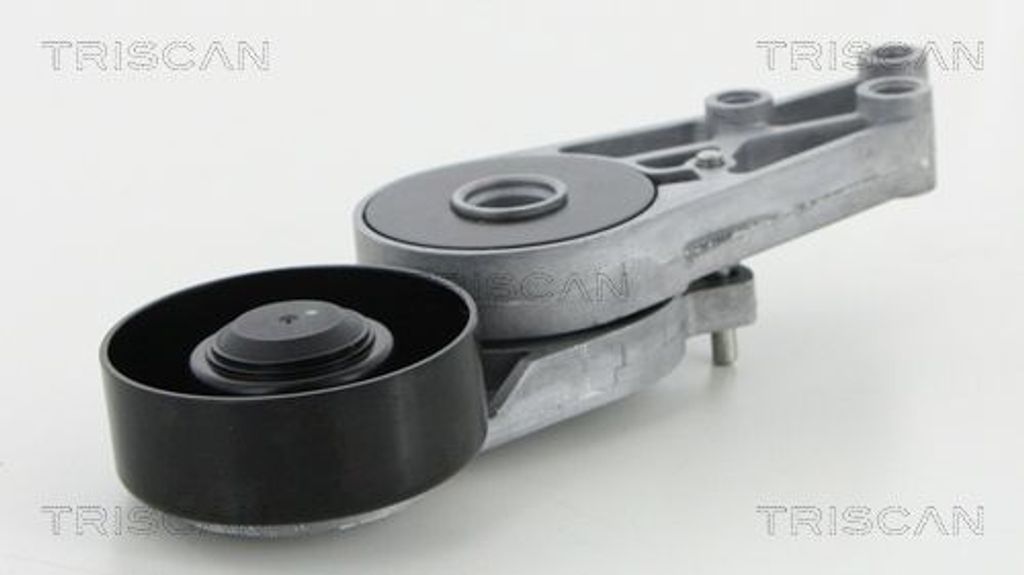 TRISCAN Spannarm Keilrippenriemen 8641 293009 für AUDI A6 Avant (4F5 C6)