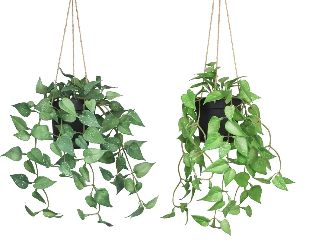 Plante suspendue artificielle pour zones sombres - Déco pot anthracite