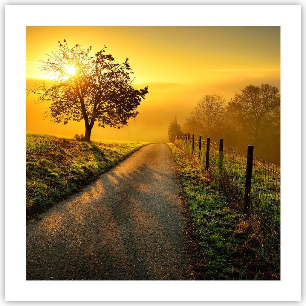 Poster - Poster ohne Rahmen - Feld Straße Baum - 50x50 cm - Wand Bild - Wanddeko - Wandbilder - Kunstposter - Wandposter - Bilder - Kunstdruck - W...