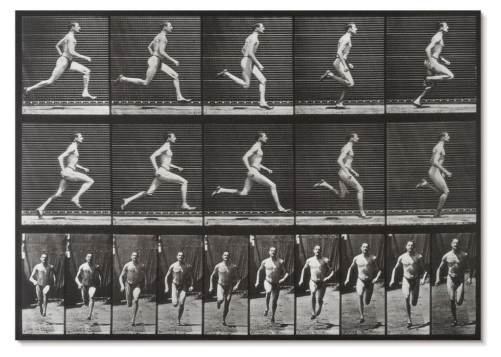 POSTER - 42x29 cm (A3) - Eadweard Muybridge - Tafel 60 aus Produktbild 