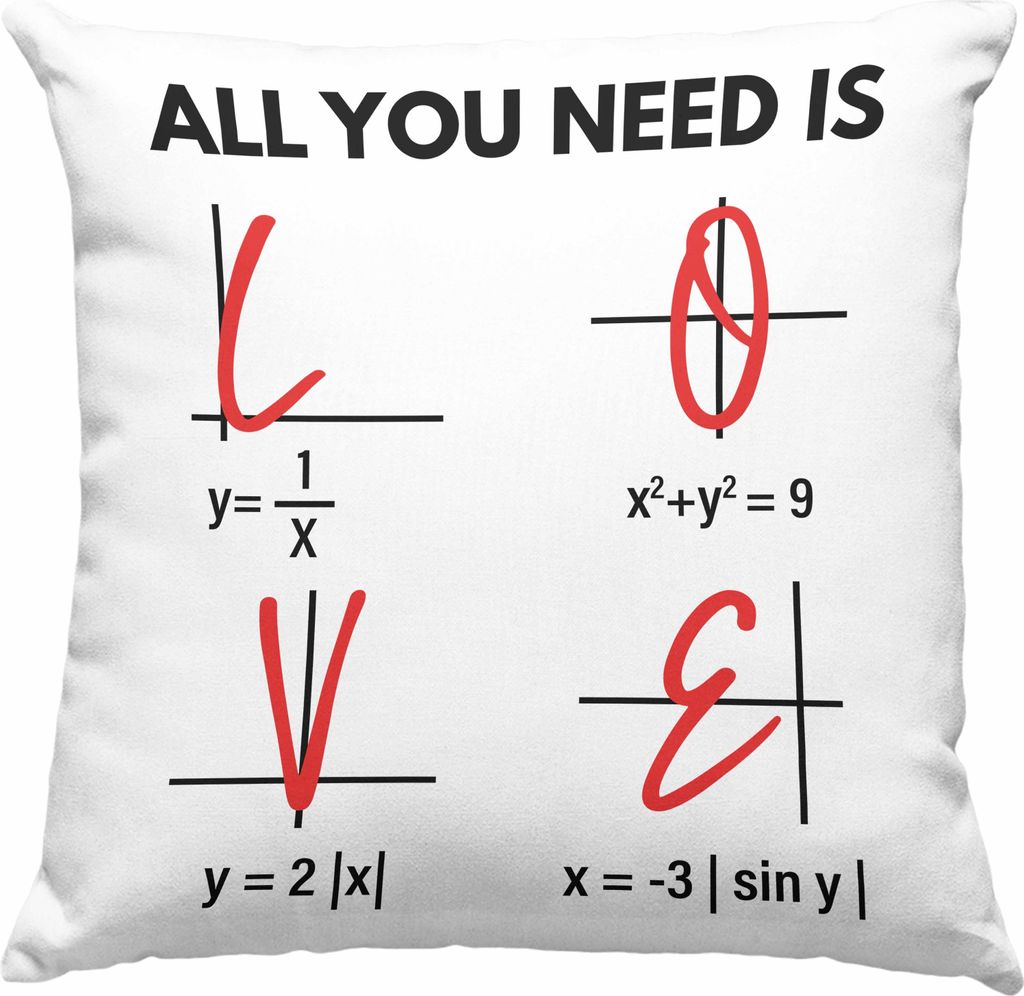 Trendation - Lustige Deko-Kissen mit Füllung 40x40 Liebe All You Need Is Love Valentinstag Mathe Mathemathik Geschenk Freundin Freud (Grau)