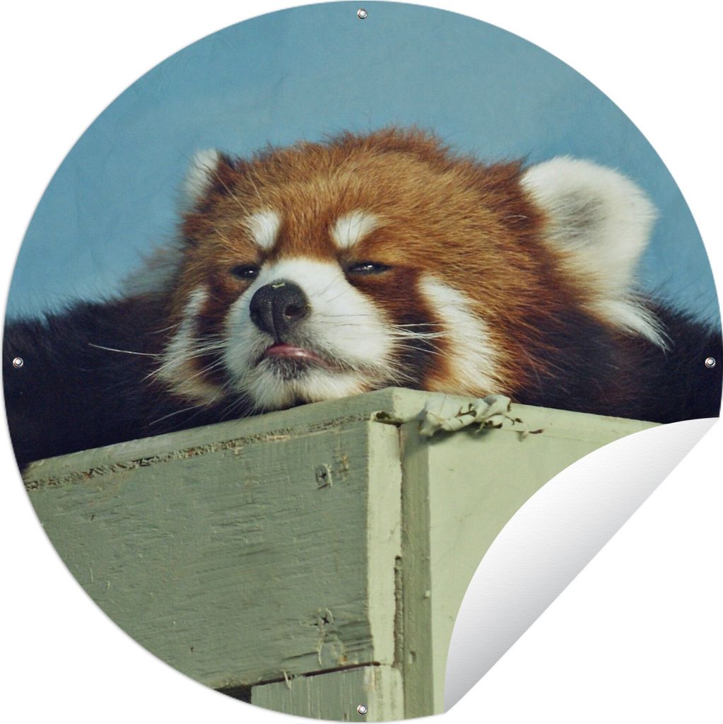 MuchoWow Gartenposter Outdoor-Poster Rund Panda - Holz - Rot Ø 60 cm Gartendeko Rundes Poster draußen