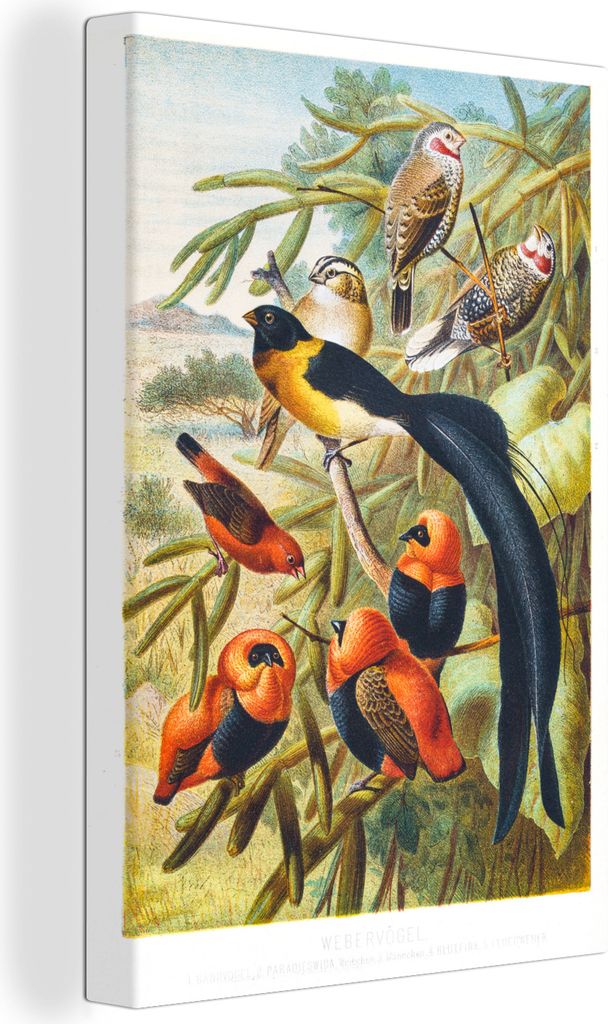 OneMillionCanvasses - Leinwandbilder - 90x140 cm, Antiker Vogeldruck Vögel in Harmonie, Wandbilder Kunstdruck Wanddekoration - Wandschmucke - Sc...
