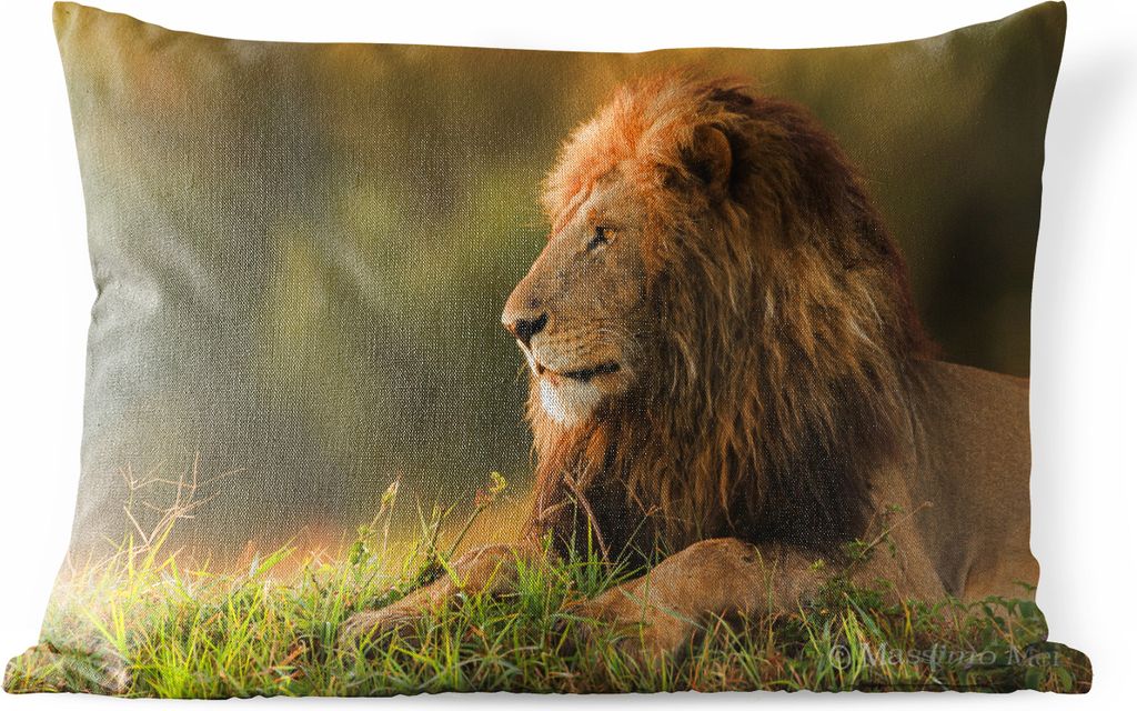 MuchoWow Outdoor Kissen - Sonnenaufgang - Löwe - Gras - 50x30 cm - Wetterfest - Lounge Kissen - Sofa kissen - Wohnzimmer Dekoration
