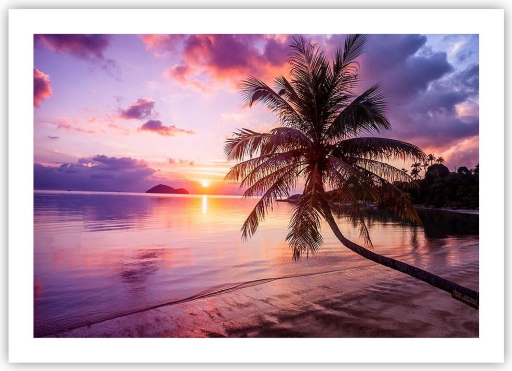 Poster - Poster ohne Rahmen - Strand Meer Palme - 70x50 cm - Wand Bild - Wanddeko - Wandbilder - Kunstposter - Wandposter - Bilder - Kunstdruck - W...