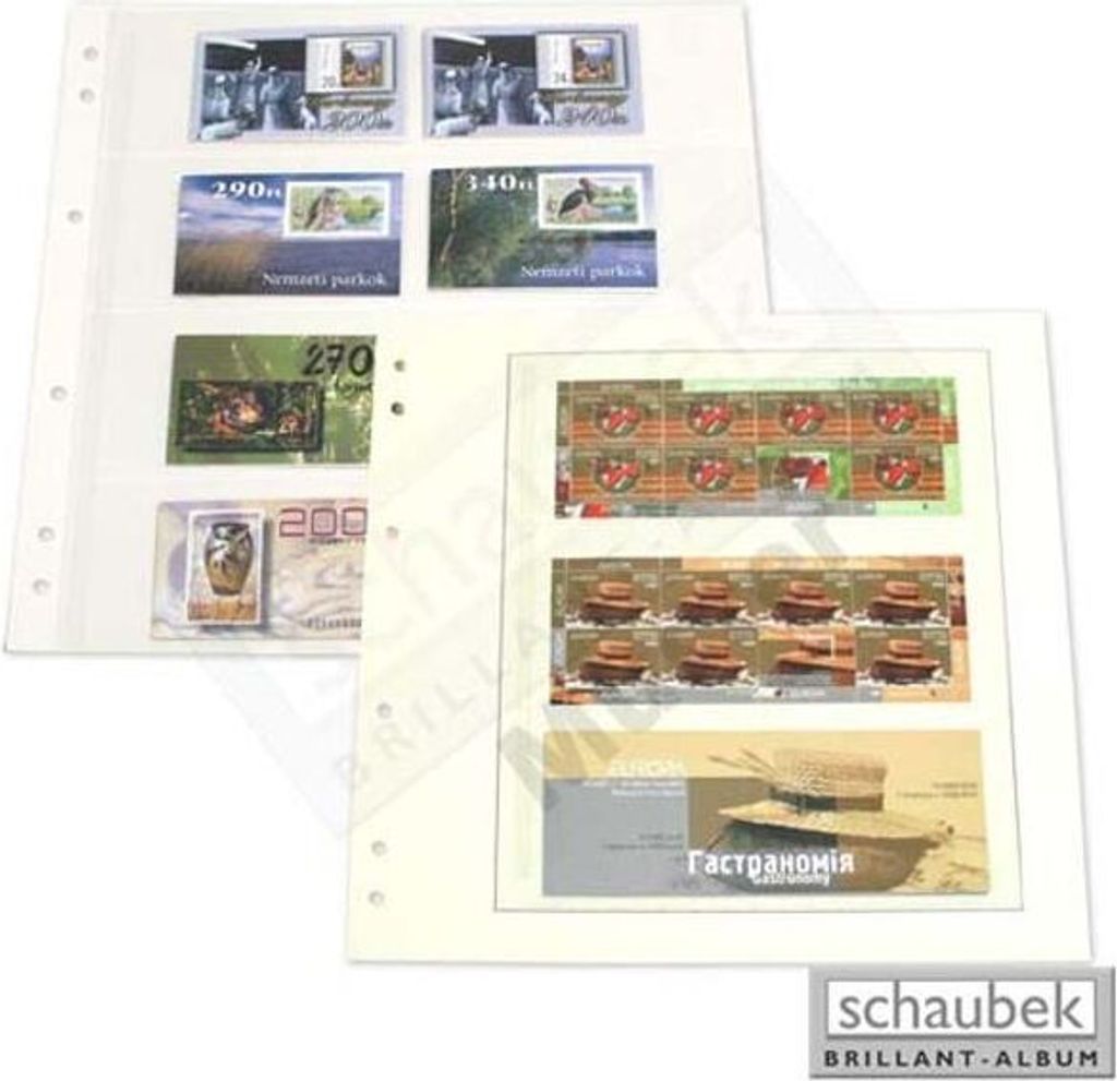 Schaubek SBL03S-5 Schaubek-Blanko-Like - 5 Blatt schwarz 1 Folientasche 251 x 286 mm