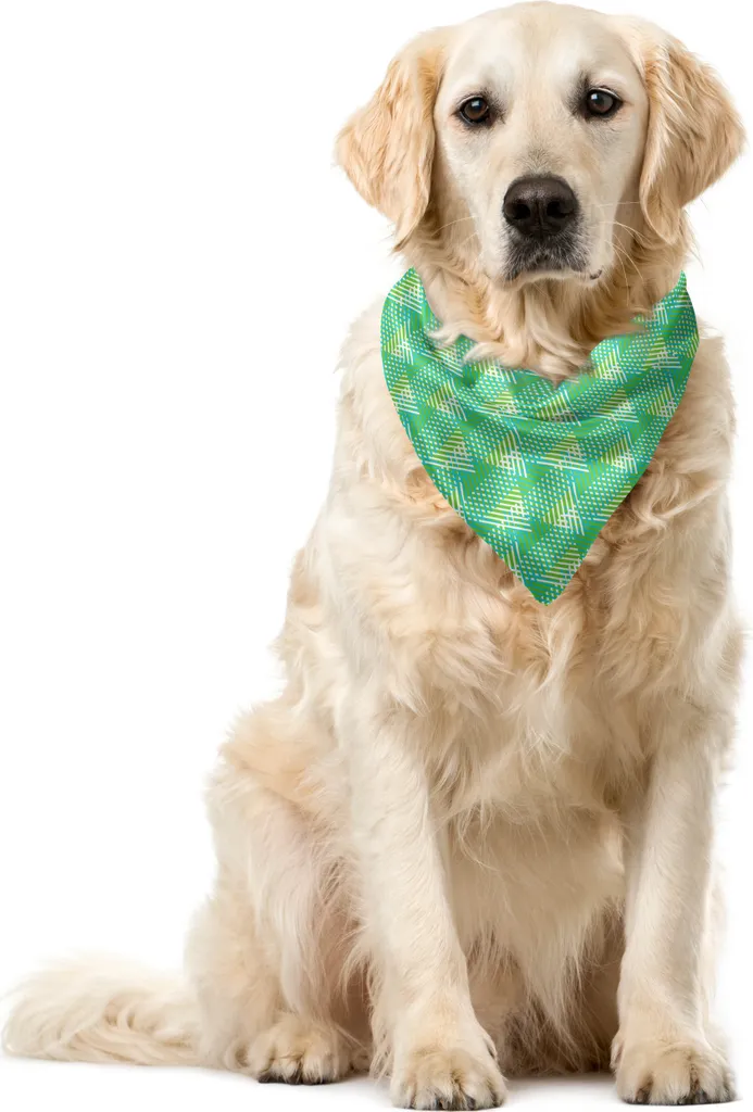 Bandana Pet ABAKUHAUS Verde Mare 55x55 cm: Accessorio Cane Hipster