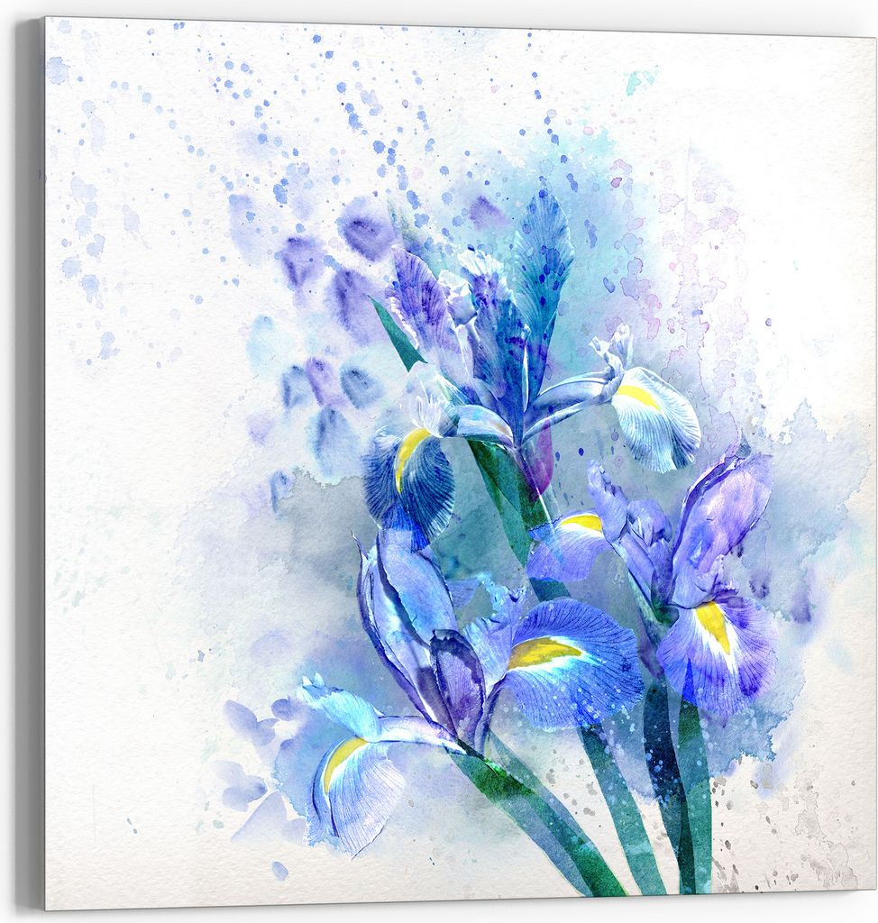 DEQORI Glasbild Acryl 50x50 cm 'Blaue Iris Pracht' Wandbild Bild modern Deko