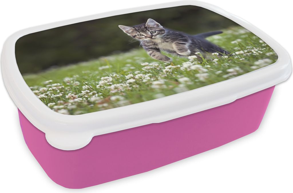 KitchenYeah Lunchbox Brotzeit Brotdose 17x11 cm Ein Kätzchen in einem Kleefeld Kinder Brotzeitdose - Lunchpaket - Brotkasten - Sandwich Box