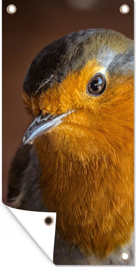 MuchoWow 30x60 cm Outdoor-Poster Gartendeko Sichtschutz Garten Poster für den Garten Rotkehlchen - Porträt - Vogel